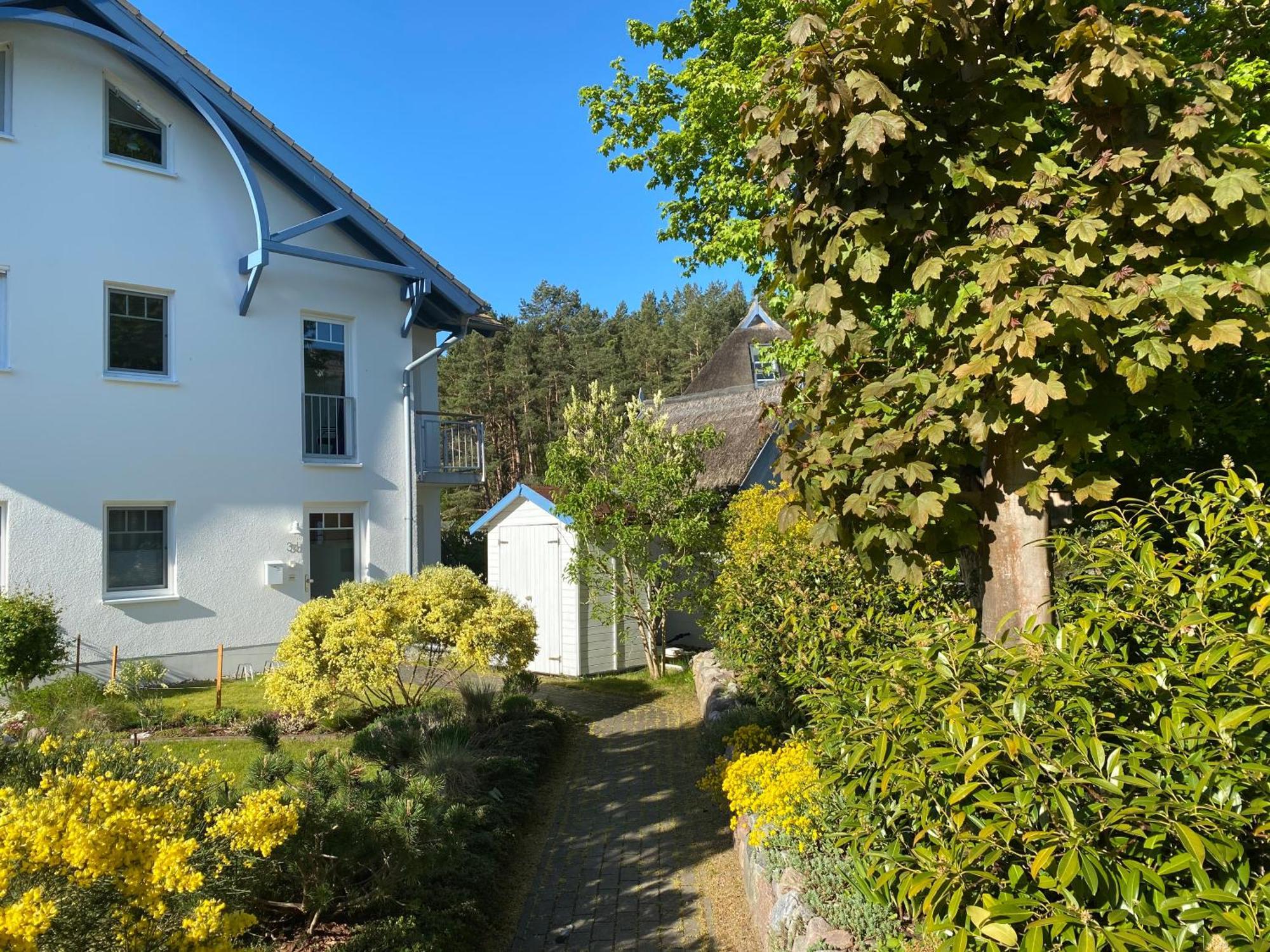 Dünenresidenz Karlshagen - Ferienwohnung Ginsterweg Exterior foto